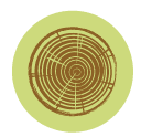 Tree Stump Removal