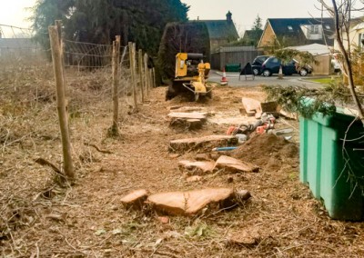 Tree Surgery Tunbridge Wells