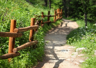 Kent and Sussex Post and Rail Fencing